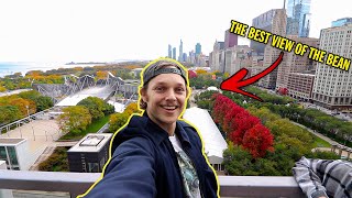 Chicago's Top 5 Coolest Buildings and Views to Check Out!