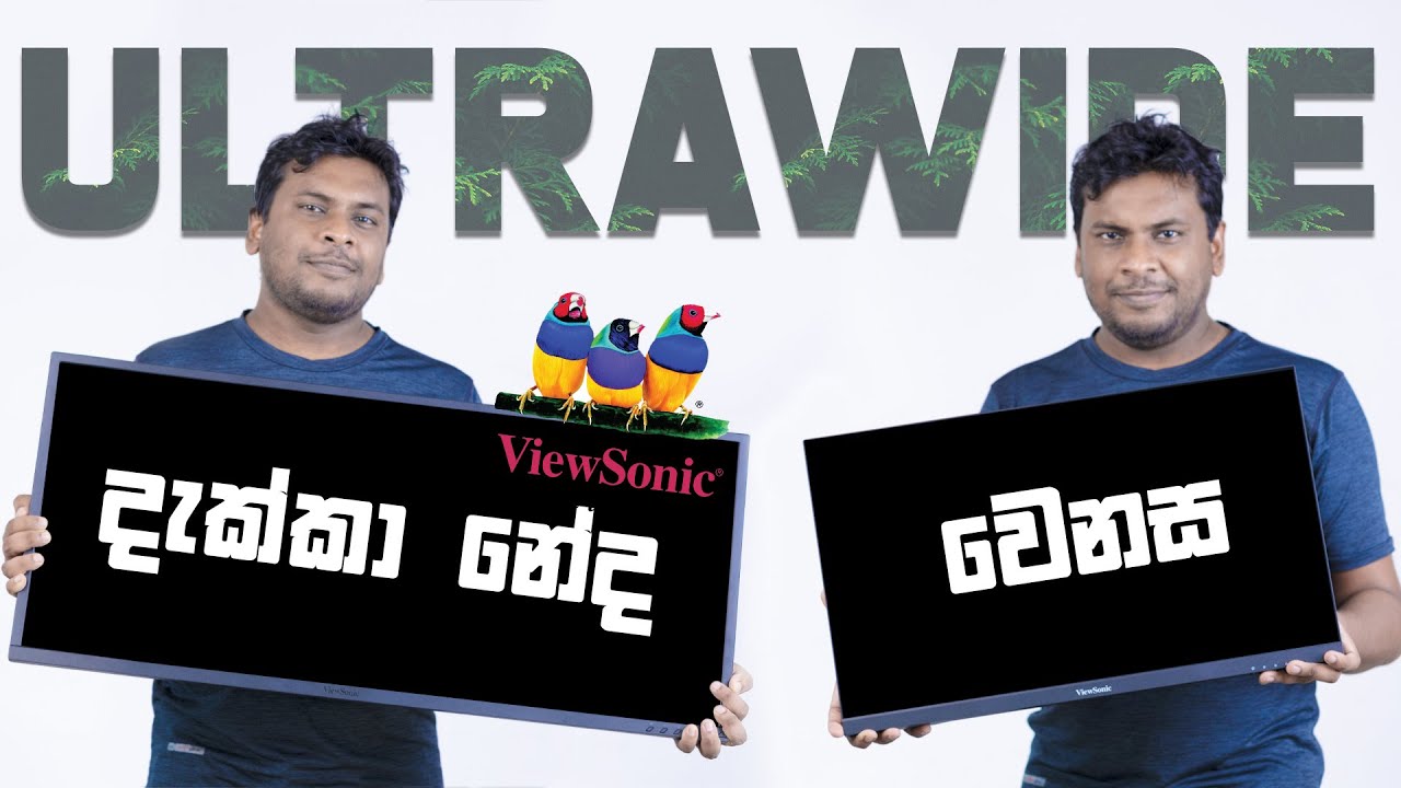ViewSonic Ultra Wide Monitor in Sri Lanka YouTube