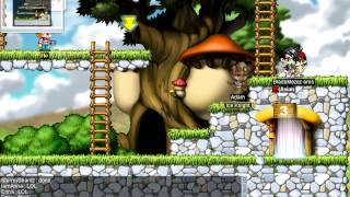 MapleSwitch hacker