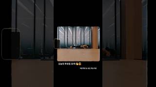 피곤하면 눈 감고 그냥 하는 오늘의 푸쉬업 30개 👋😎 #요가필라분다