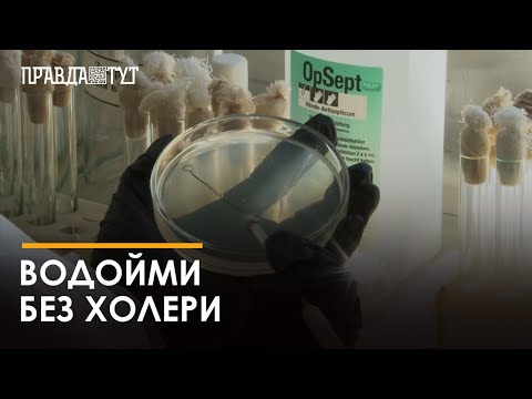 У річках Кропивницького не знайшли небезпечних кишкових інфекцій