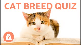GUESS the CAT BREED by the PHOTO 🐱 Do You Know Them ALL? ✅❌ Game/Quiz screenshot 3