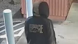 BCSO searches for armed carjacking suspect