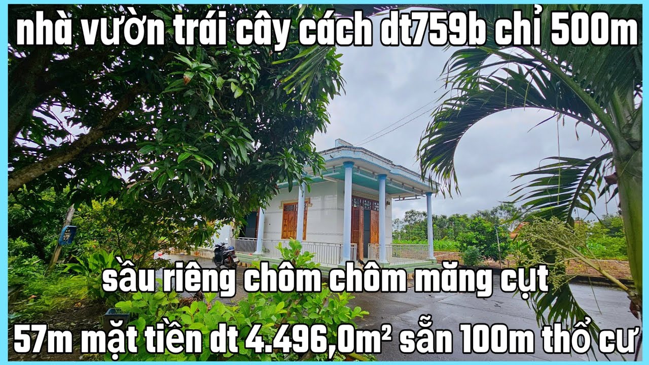 Nhà vườn trái cây mặt tiền nhựa lớn 57×102+100tc dt 4496,0m2 giá 1tỷ 600 tr bao sổ 