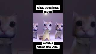 what does lmao mean | Wrong Answers Only