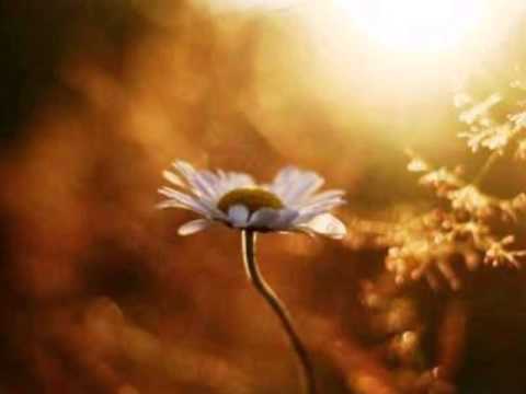 Damien Jurado Cloudy Shoes.wmv