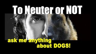 IS NEUTERING a Dog Better for TRAINING? ask me anything