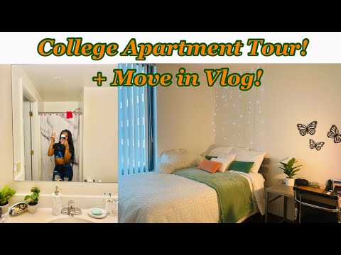 Move In To My First Apartment With Me ! | Howard University | Vie Towers Student Apt Tour