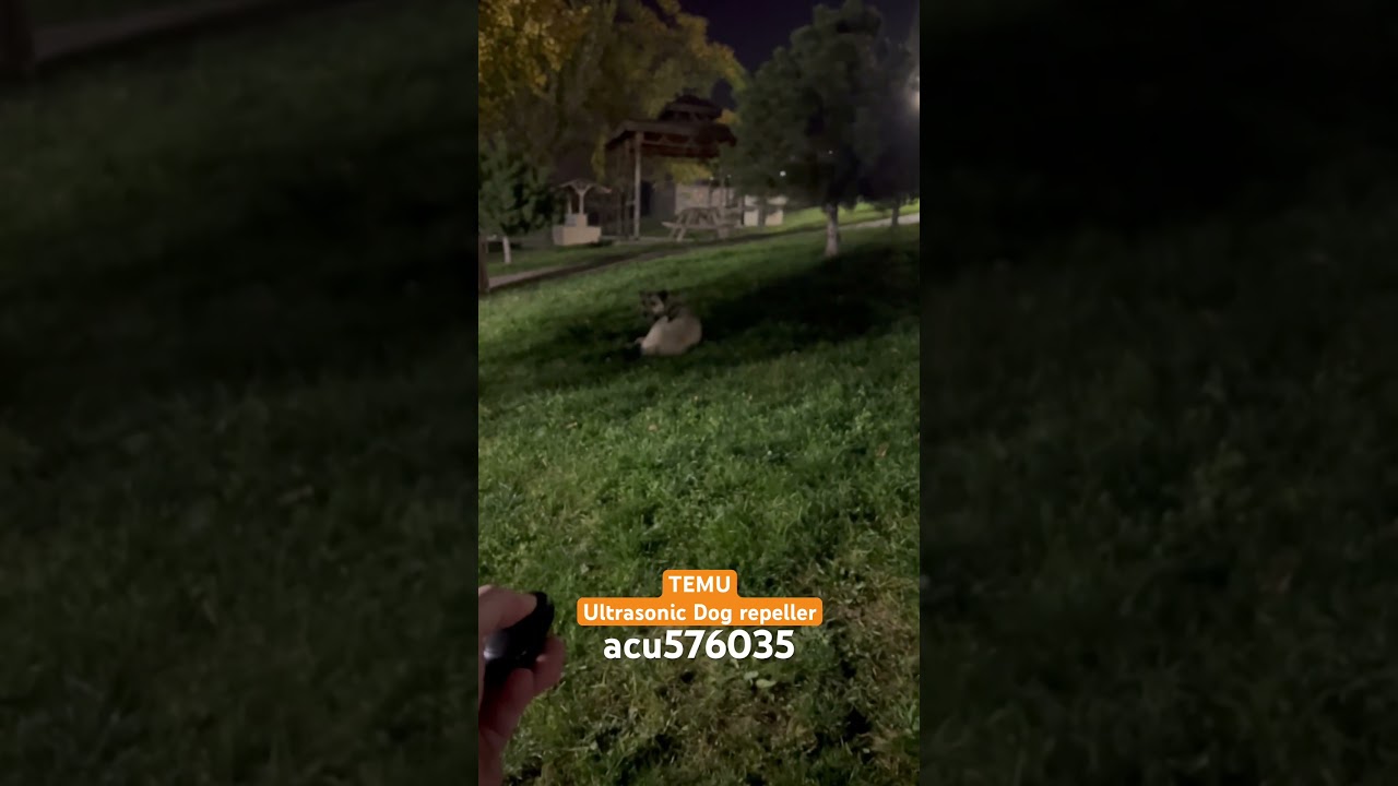 Temu Ultrasonic dog repeller 