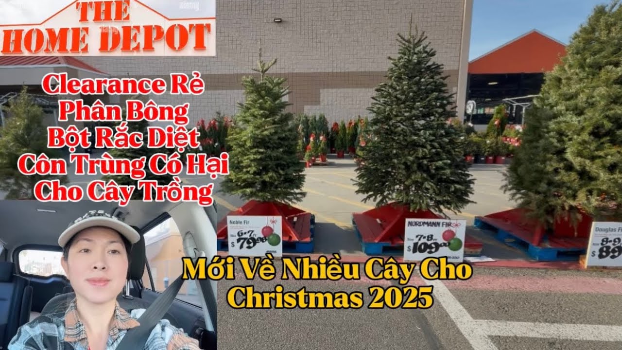 Home Depot Clearance Rẻ Phân Bông, Sevin Ngừa Côn Trùng, Christmas Tree