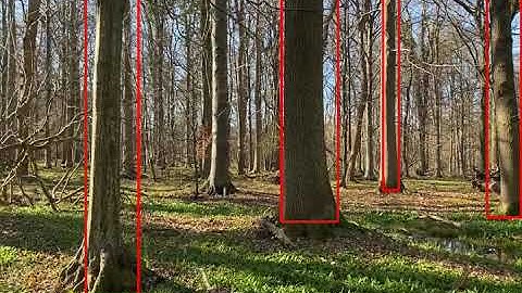 MobileNetV2 Retrained Autumn Test (1080x720)