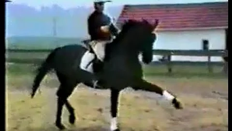 Willi Schultheis 67 years old riding Rio Negro xx