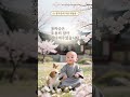 동자승이 길을 잃은 나비를 만난 날 #동자승 #사찰일상 #힐링