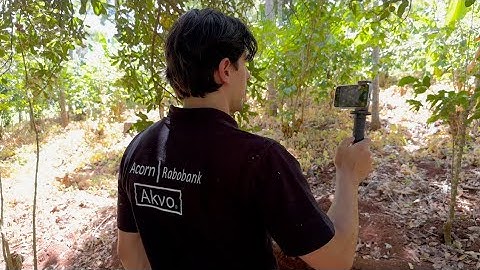 Measuring Kenyan Forests with Rabobank’s Acorn Project | Agerpoint in the Field