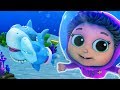 Baby Shark | Songs for Kids