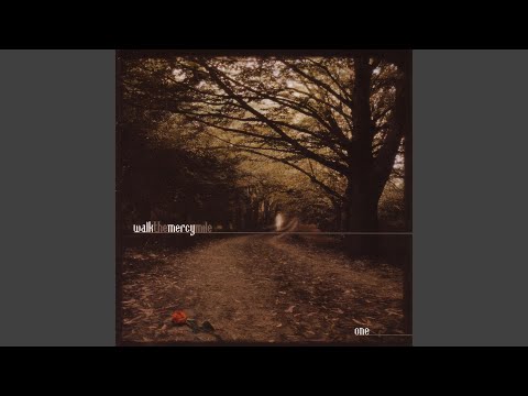 youtube player