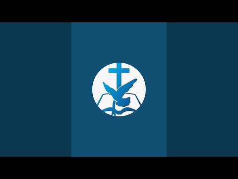 Previzualizare video