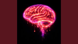 Celebrity Brain Net Worth