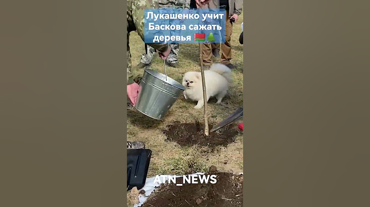 "Нет, Басков, тут надо ножками!" Лукашенко на субботнике #shorts #лукашенко #новости #президент