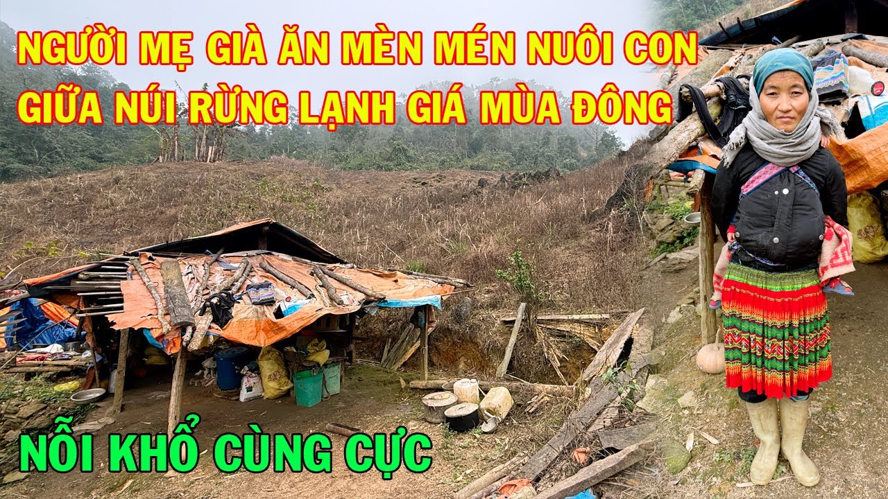 NGƯỜI MẸ GIÀ ĂN MÈN MÉN NUÔI CON GIỮA NÚI RỪNG LẠNH GIÁ MÙA ĐÔNG