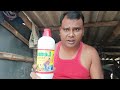 Kabutar Ko Fit Rakhne Ka Best Tarika Healthy Pigeon Care Tips ✅