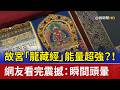 故宮「龍藏經」能量超強？！網友看完震撼：瞬間頭暈