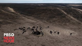 Texas farmers and ranchers see long road of recovery ahead after devastating wildfires