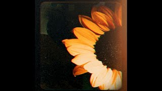 Free Post Malone Type Beat - Wallflower