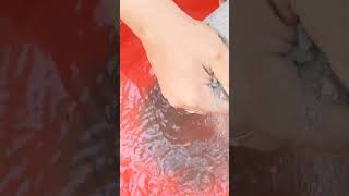 June 26 2023asmr Asmr Sounds Satisfying Texture Crush Crushasmr viral 