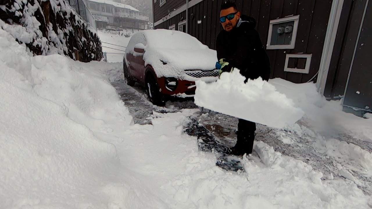Snow Day in Victoria, British Columbia