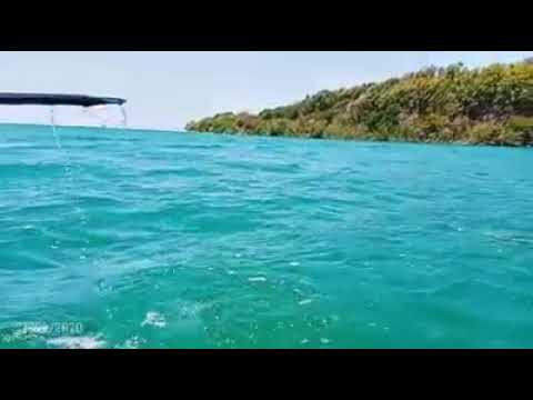 حلق الواد الزوارع الملكة