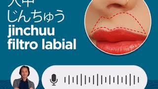 PARTES DO CORPO - JAPONÊS E PORTUGUÊS PARTES DO CORPO - JAPONÊS E PORTUGUÊS