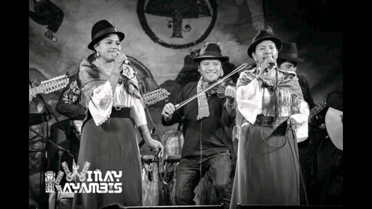 Wiñay  kayambis  tema  🎸🎻Solterito 😎🎼🎵🎻🎸