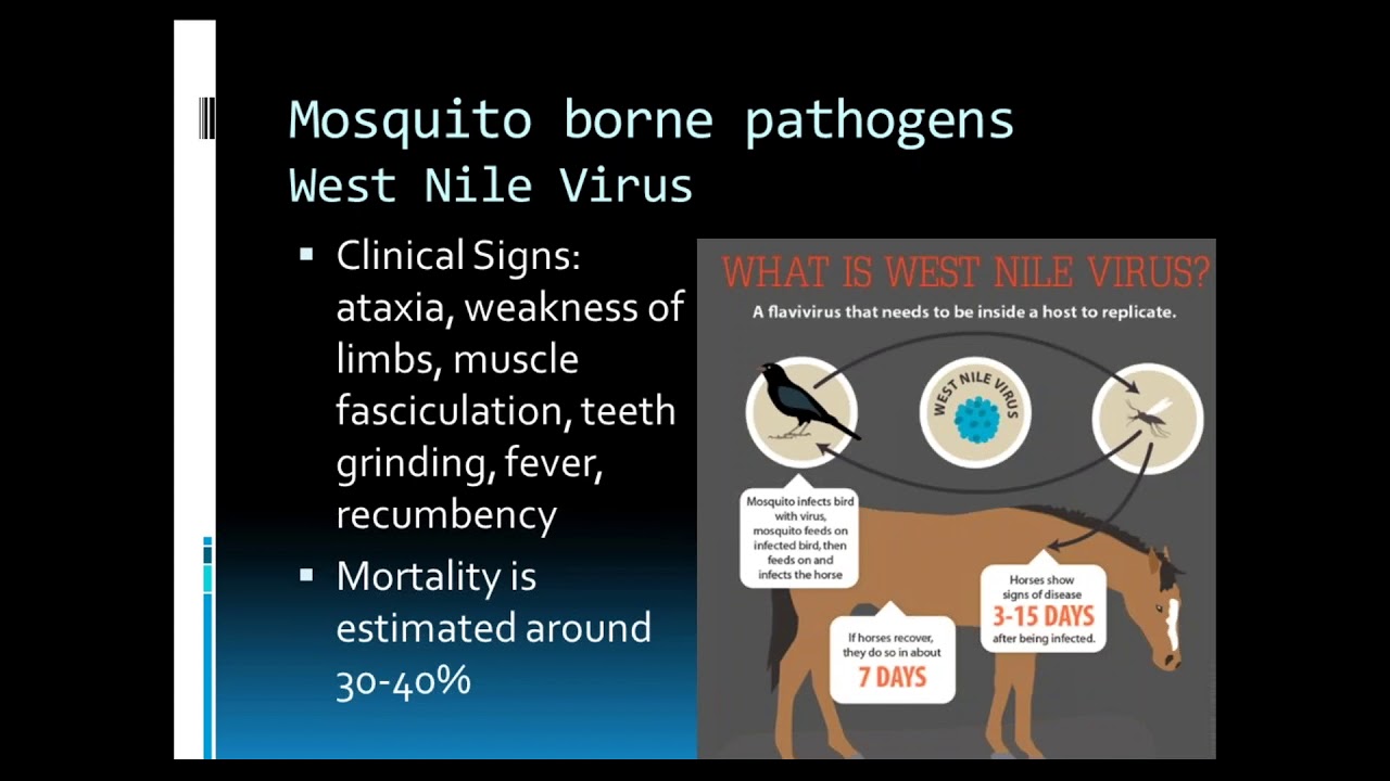 Infectious Disease Control and Vaccinations