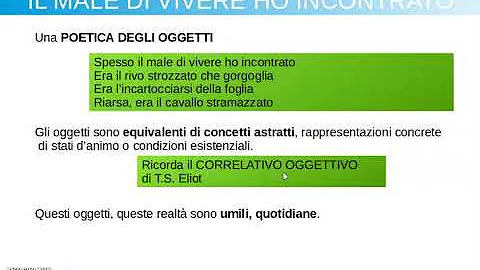 Cosa sono gli ossi?