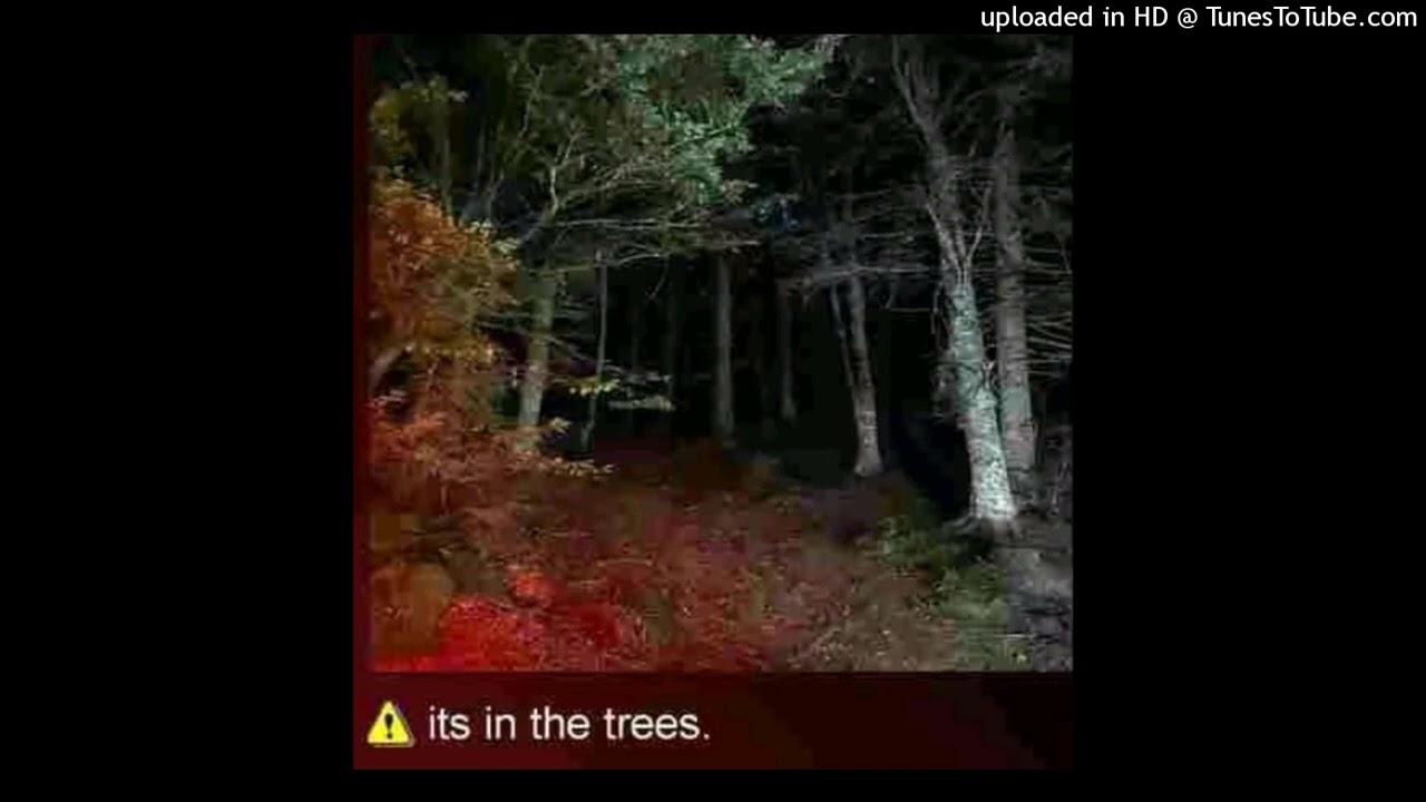 CHILL DETROIT TYPE BEAT (ITS IN THE TREES) @DtBeatzXSpiritualD 