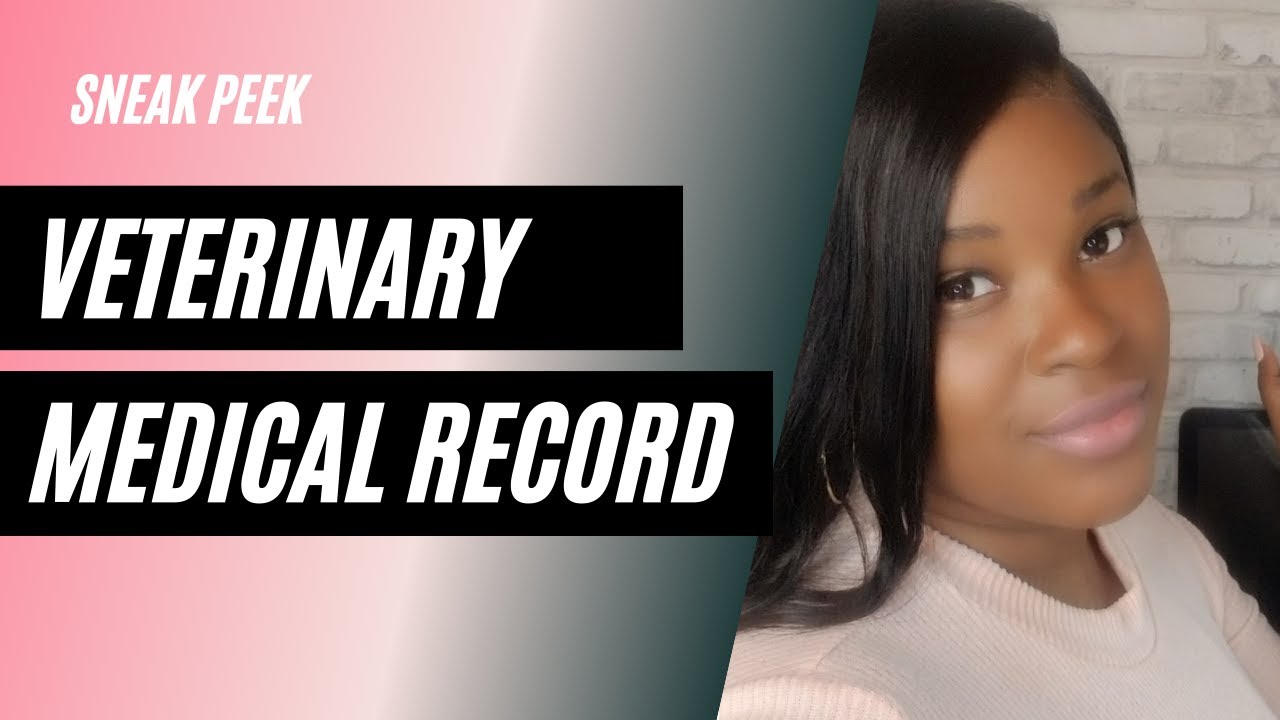 Veterinary Medical Records Sneek Peek YouTube