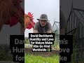 David Beckham’s Humility and Love for Nature Make Him Go Viral Worldwide 🌿