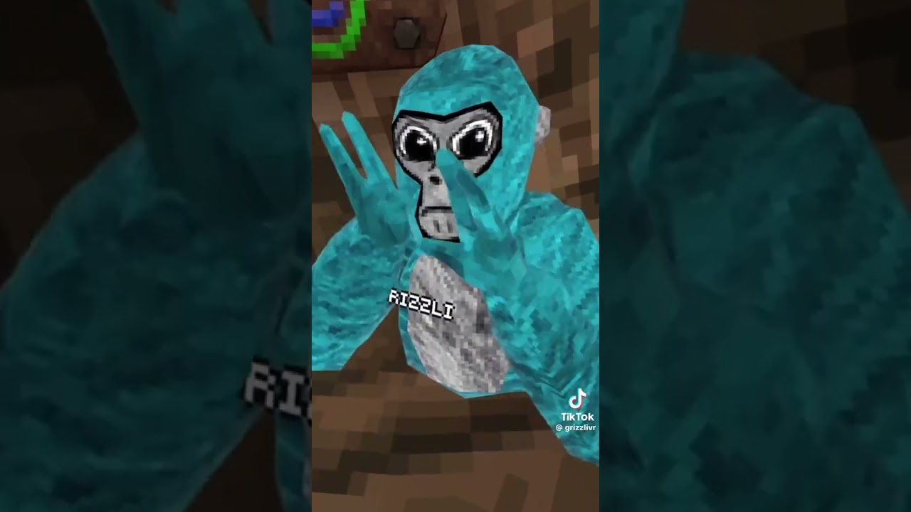 Gorilla tag meme Complication