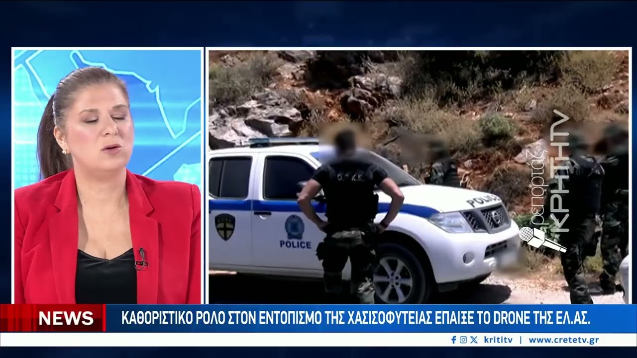 Εντόπισαν ένα ολόκληρο δάσος από χασισόδεντρα – Video