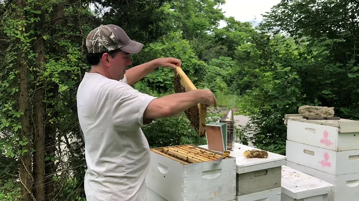Jay Snider Beekeeping