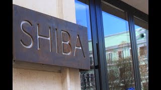 Capitalrent для Novikov Restaurant Group | SHIBA Capitalrent для Novikov Restaurant Group | SHIBA