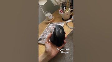 Looking for a quiet, ergonomic wireless mouse for study or work？