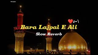Bara lajpal Ali🚩 || Slow + Reverb || Ali waly qasida karbala trendingviral islamic ||TH bashi