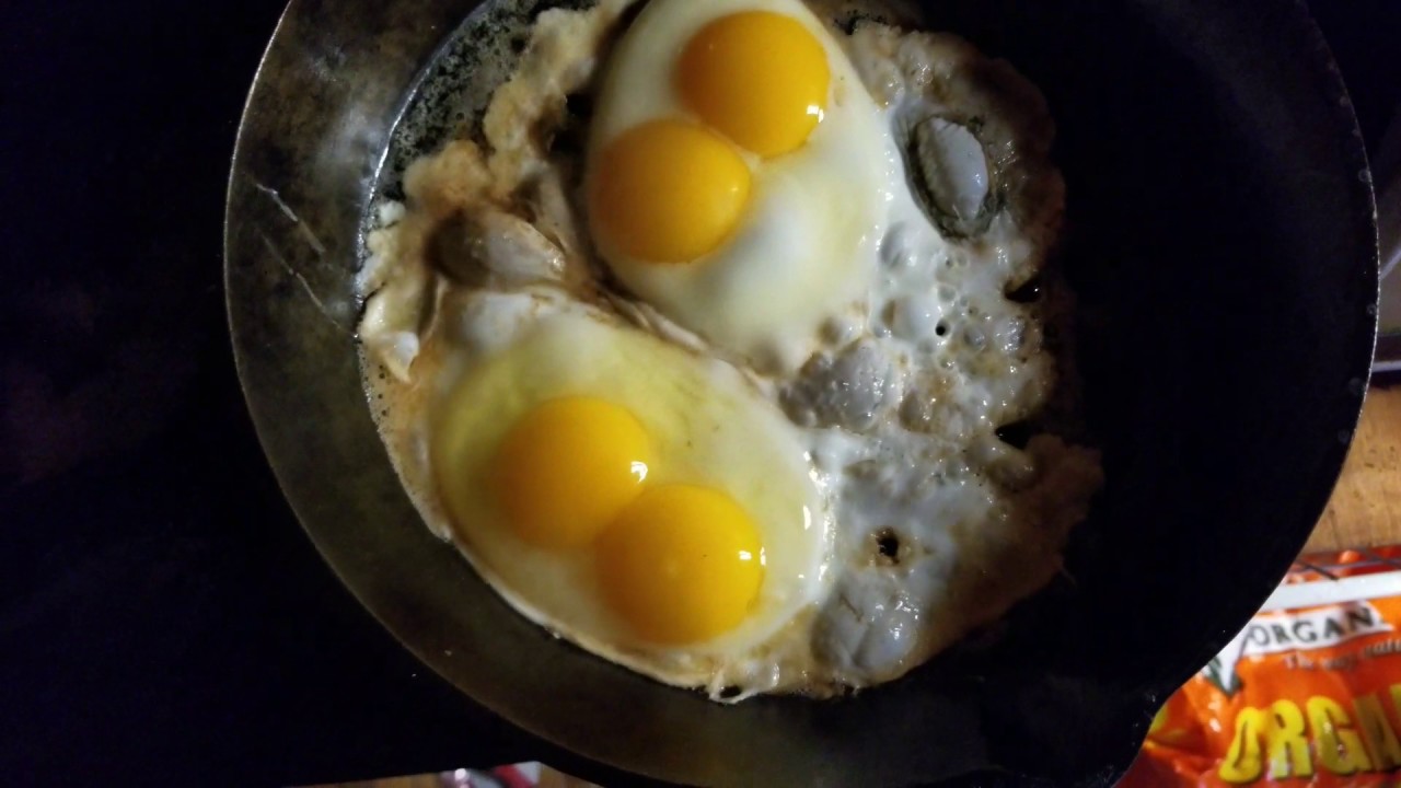 Two Double Yolk Eggs from ISA Brown Chickens YouTube