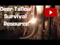 Deer Tallow Survival Resource