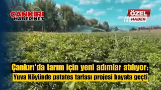Çankırıda Tarım Için Yeni Adımlar Atılıyor Yuva Köyünde Patates Tarlası Projesi Hayata Geçti