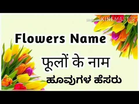 Flowers Name In Kannad English And Hindi Youtube