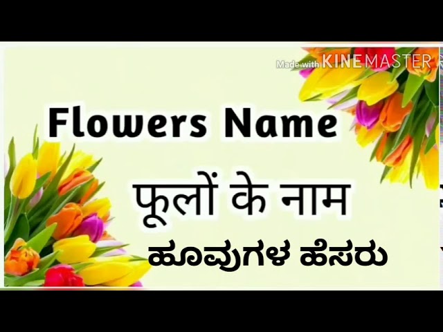 Flowers Name In Kannad English And