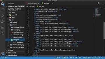 1  Pubspec, Info plist, and Android Manifest Setup